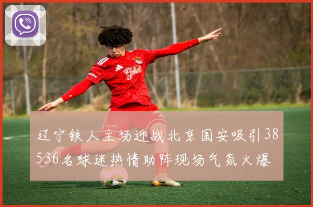 辽宁铁人主场迎战北京国安吸引38536名球迷热情助阵现场气氛火爆