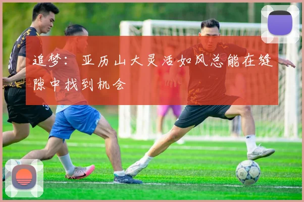 追梦：亚历山大灵活如风总能在缝隙中找到机会