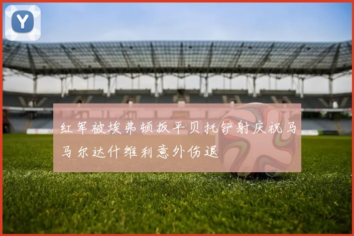 红军被埃弗顿扳平贝托铲射庆祝马马尔达什维利意外伤退